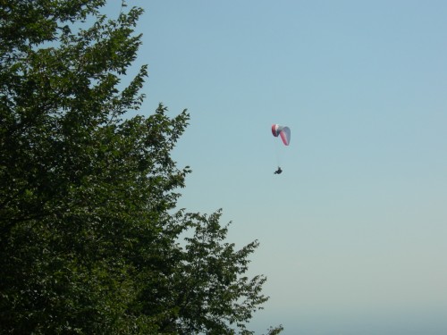 DSCN0939.JPG (375.21 КБ) Просмотров: 9626 DSCN0939.JPG