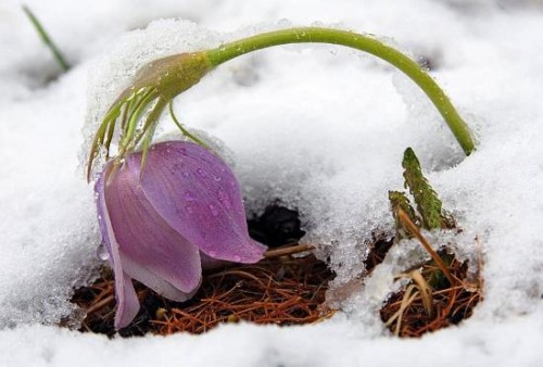 389825_373139.jpg (34.36 КБ) Просмотров: 2523 389825_373139.jpg